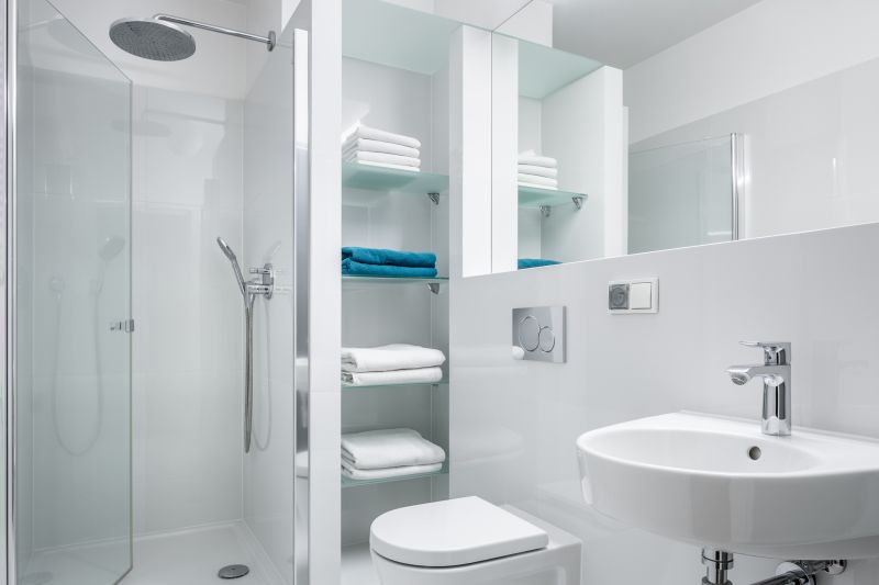 Compact Shower with Modern Fixtures